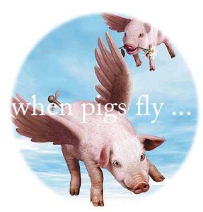 Shen me shi hou zhu hui fei / when pigs fly !!! lol
